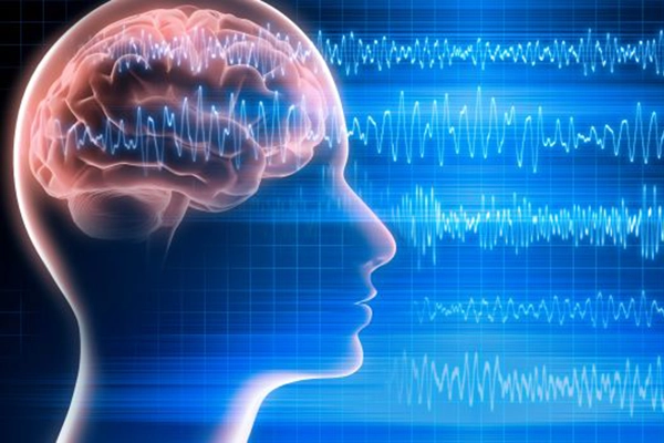 A graphic designed to show human brain waves