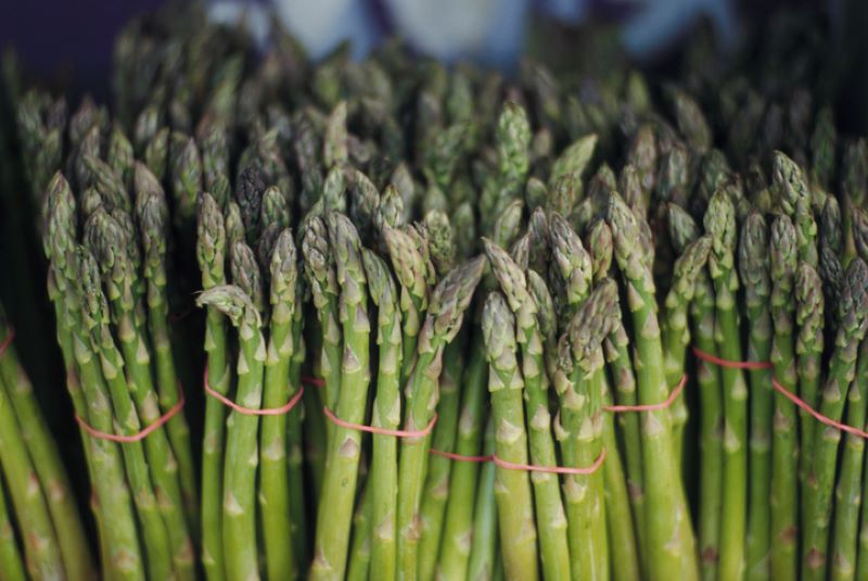 fresh asparagus