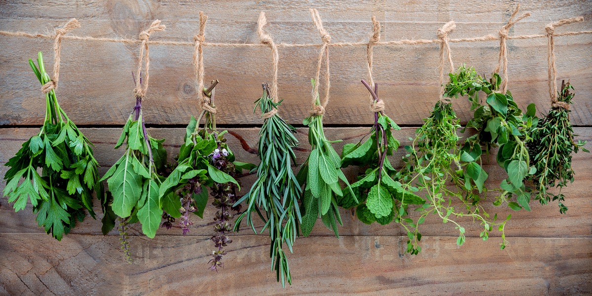 Mixed herbs strung up with brown twine to dry, hanging in front of a wooden wall.