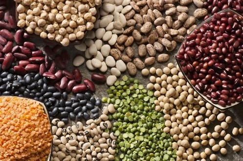 foods with fiber such as nuts, legumes, seeds and beans